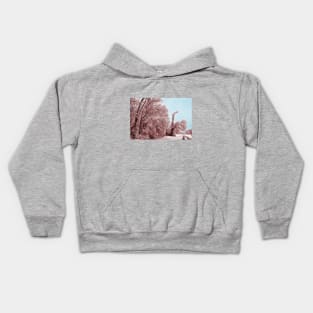 Southern Illinois Winter Scene 8_ Dec 2012 Kids Hoodie